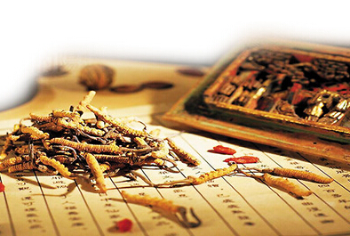 ����÷��MGM(�й���)��������