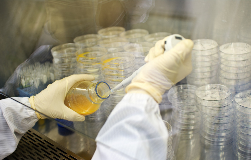 ÃÀ¸ß÷¡¤MGM(ÖйúÓÎ)¹ÙÍøÕýÍø