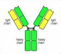 ����÷��MGM(�й���)��������