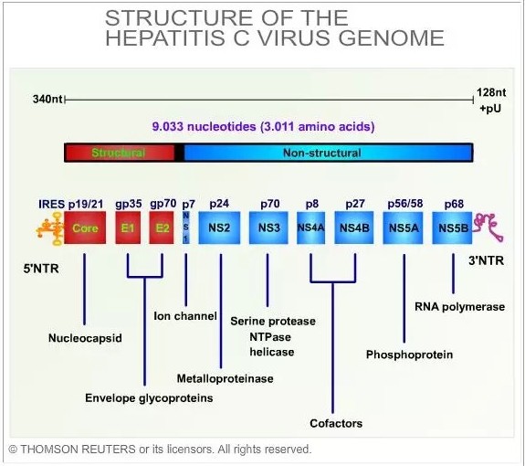 ����÷��MGM(�й���)��������