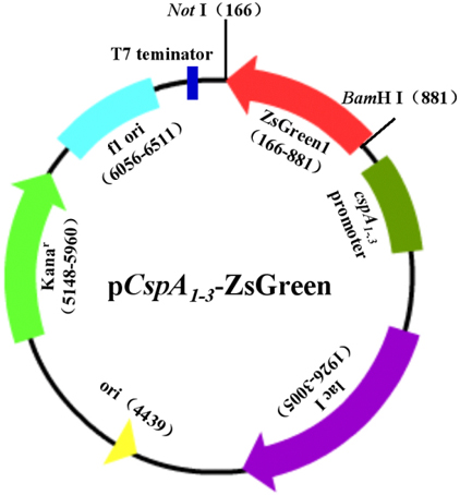 ÃÀ¸ß÷¡¤MGM(ÖйúÓÎ)¹ÙÍøÕýÍø
