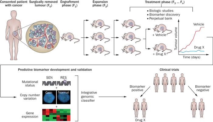 ����÷��MGM(�й���)��������