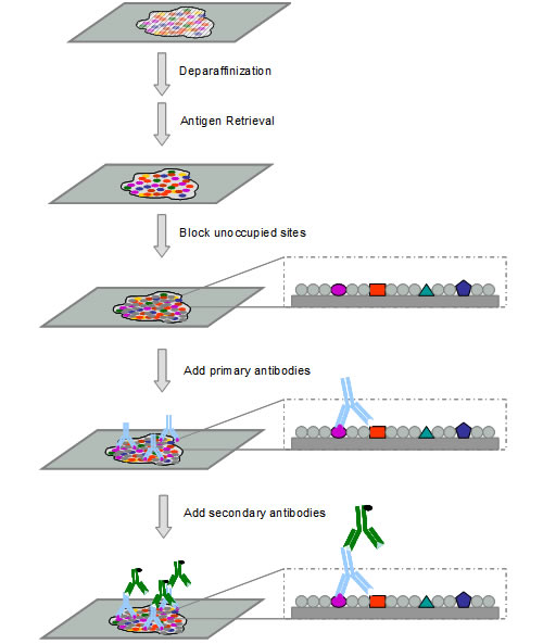����÷��MGM(�й���)��������
