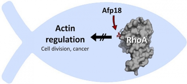 ÃÀ¸ß÷¡¤MGM(ÖйúÓÎ)¹ÙÍøÕýÍø