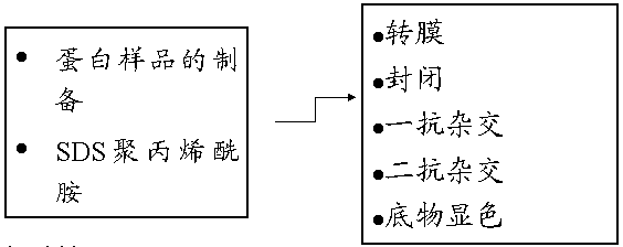 ÃÀ¸ß÷¡¤MGM(ÖйúÓÎ)¹ÙÍøÕýÍø