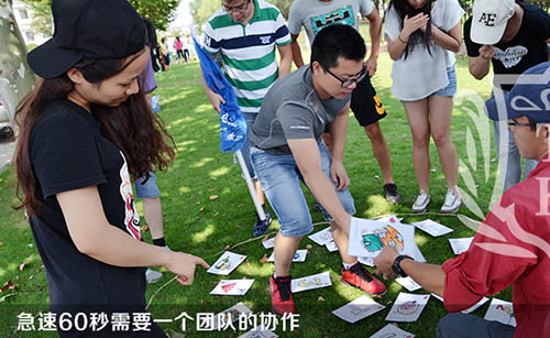 ����÷��MGM(�й���)��������