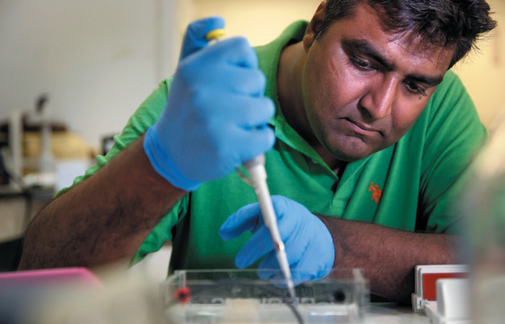 ����÷��MGM(�й���)��������