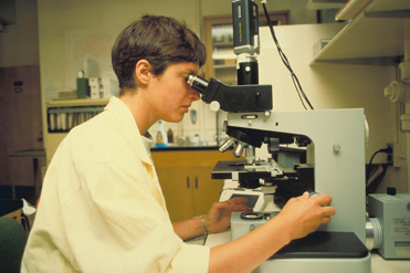 ¼±ÐÔ¶¾ÐÔÊÔÑé³£ÓÃÊÔÑéÒªÁì ¼±ÐÔ¶¾ÐÔÊÔÑé³£ÓÃÊÔÑéÒªÁì