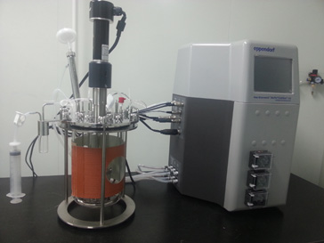 �����Ѱױ��﴿������