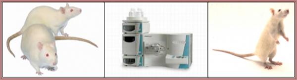 ¶¾´ú¶¯Á¦Ñ§ÊÔÑé ¶¾´ú¶¯Á¦Ñ§ÊÔÑé