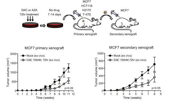 С������ģ��