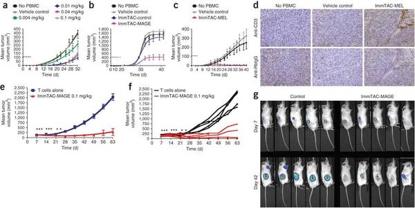 Ö×Áö¼²²¡Ä£×Ó