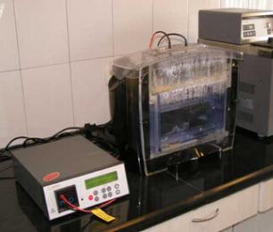 ÃÀ¸ß÷¡¤MGM(ÖйúÓÎ)¹ÙÍøÕýÍø