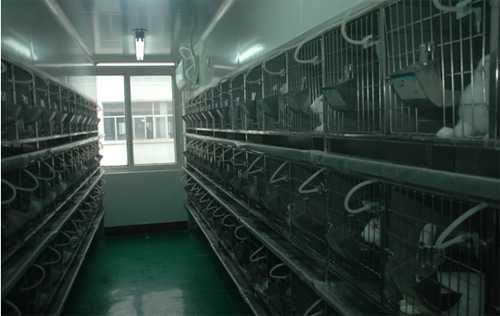 ����÷ʵ�鶯�﷿