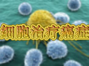 ����÷��MGM(�й���)��������