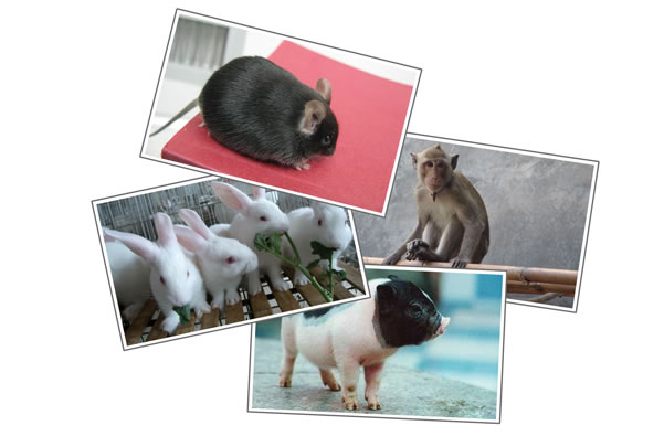 ÃÀ¸ß÷¡¤MGM(ÖйúÓÎ)¹ÙÍøÕýÍø