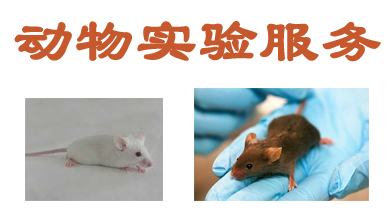 ¶¯ÎïʵÑéЧÀÍ ¶¯ÎïʵÑéЧÀÍ