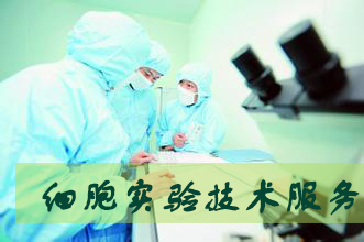 ÃÀ¸ß÷¡¤MGM(ÖйúÓÎ)¹ÙÍøÕýÍø