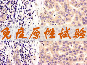 ����ԭ������