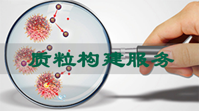 ÖÊÁ£¹¹½¨Ð§ÀÍ ÖÊÁ£¹¹½¨Ð§ÀÍ