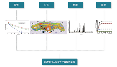 ADMEÑо¿ ADMEÑо¿