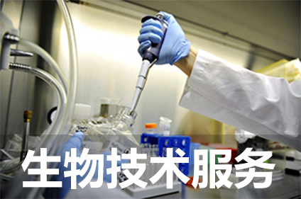 ���＼��Ч��