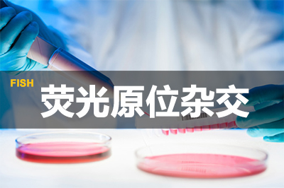 Ó«¹âÔλÔÓ½» Ó«¹âÔλÔÓ½»