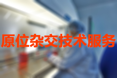 ԭλ�ӽ�����Ч��