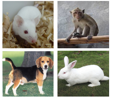 ҩ������ѧ