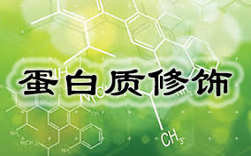 ����÷��MGM(�й���)��������