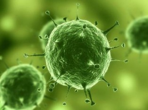 ����÷��MGM(�й���)��������