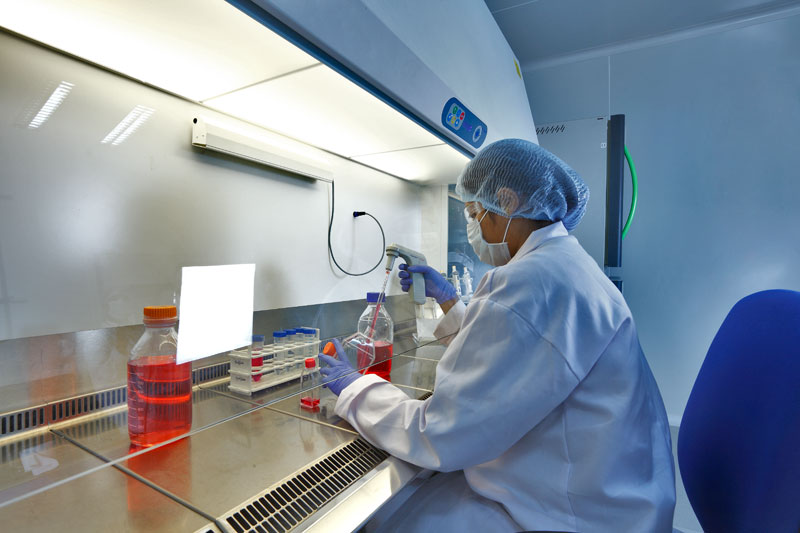 ����÷��MGM(�й���)��������