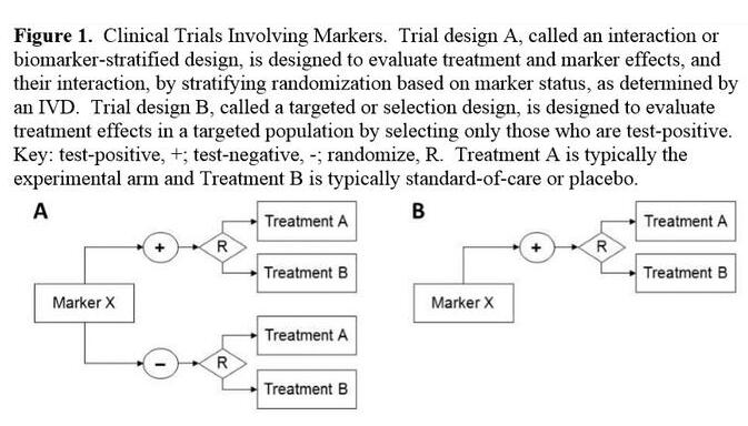 ÃÀ¸ß÷¡¤MGM(ÖйúÓÎ)¹ÙÍøÕýÍø
