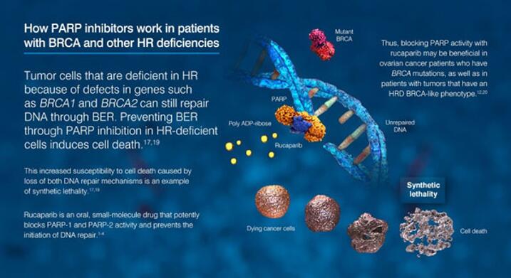 ����÷��MGM(�й���)��������