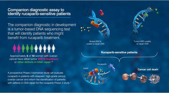 ����÷��MGM(�й���)��������