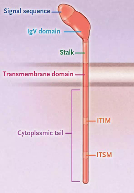 ����÷��MGM(�й���)��������