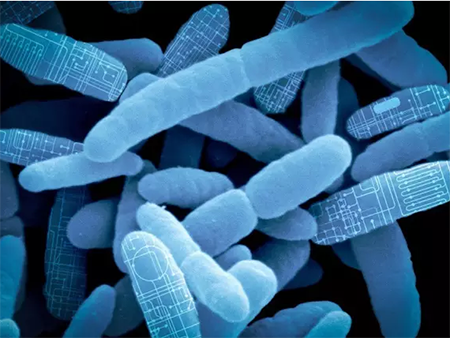 ����÷��MGM(�й���)��������