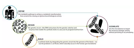 ����÷��MGM(�й���)��������