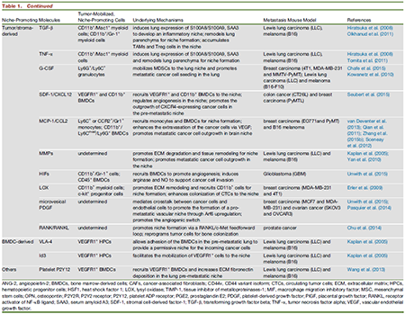 ����÷��MGM(�й���)��������