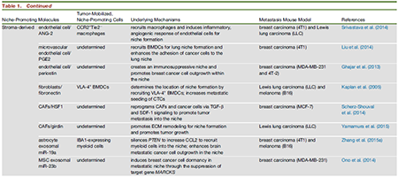 ����÷��MGM(�й���)��������
