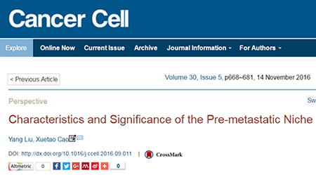 ����÷��MGM(�й���)��������