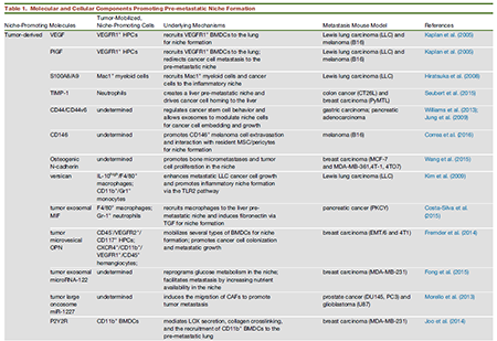 ����÷��MGM(�й���)��������