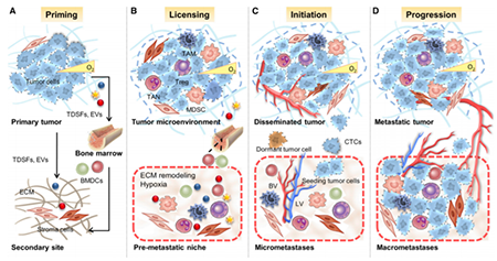 ����÷��MGM(�й���)��������