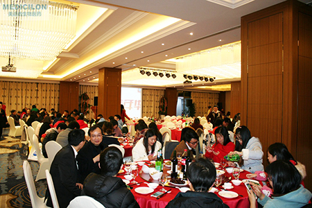 ����÷��MGM(�й���)��������