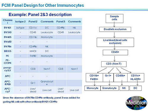 ÃÀ¸ß÷¸±×ܲÃÍô¿¡²©Ê¿SAPA-DC¾Û»áÑݽ²PPT ÃÀ¸ß÷¸±×ܲÃÍô¿¡²©Ê¿SAPA-DC¾Û»áÑݽ²PPT