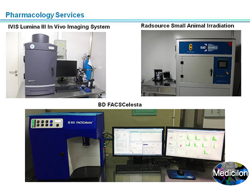 ÃÀ¸ß÷¸±×ܲÃÍô¿¡²©Ê¿SAPA-DC¾Û»áÑݽ²PPT ÃÀ¸ß÷¸±×ܲÃÍô¿¡²©Ê¿SAPA-DC¾Û»áÑݽ²PPT