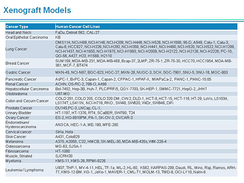 ÃÀ¸ß÷¸±×ܲÃÍô¿¡²©Ê¿SAPA-DC¾Û»áÑݽ²PPT ÃÀ¸ß÷¸±×ܲÃÍô¿¡²©Ê¿SAPA-DC¾Û»áÑݽ²PPT