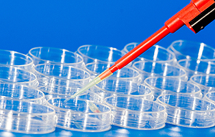 ����÷��MGM(�й���)��������