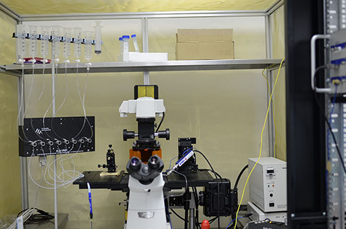 Patch Clamp£¨Ä¤Æ¬Ç¯£© Patch Clamp£¨Ä¤Æ¬Ç¯£©