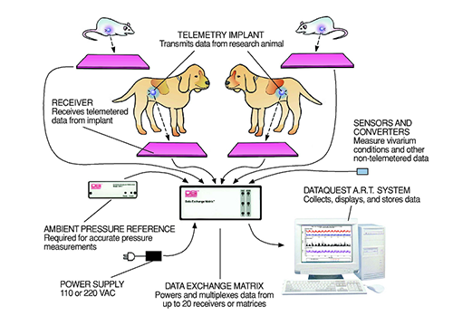 DSIȫֲÈëʽÎÞ´´Ò£²âϵͳ DSIȫֲÈëʽÎÞ´´Ò£²âϵͳ